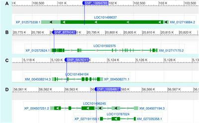 Unveiling the genetic basis of Fusarium wilt resistance in chickpea using GWAS analysis and characterization of candidate genes